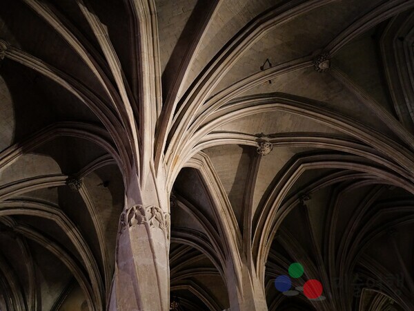 살몽의 작업에서 주목할 점은 직관적 촬영과 신중한 해석이 절묘하게 균형을 이루고 있다.