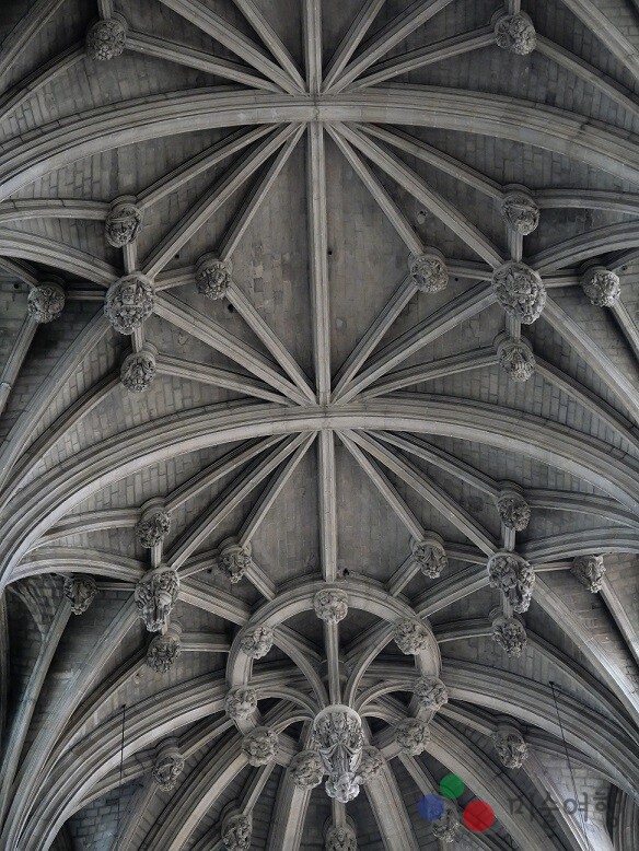 살몽의 작업에서 주목할 점은 직관적 촬영과 신중한 해석이 절묘하게 균형을 이루고 있다.